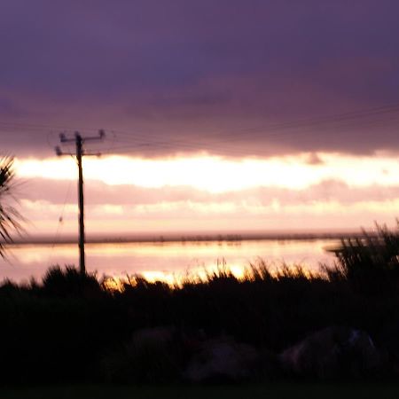 Ocean View Bed & Breakfast Wexford Bagian luar foto